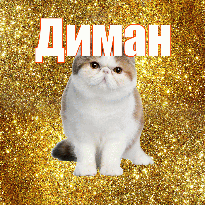 Диман! С добрым утром! Красивая открытка !