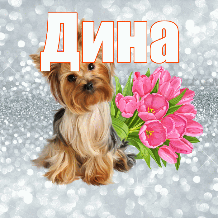 Дина! С добрым утром! Красивая открытка Дине!