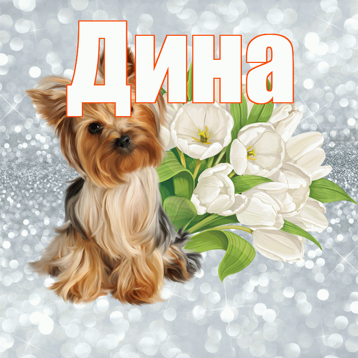Дина! С добрым утром! Красивая открытка Дине!