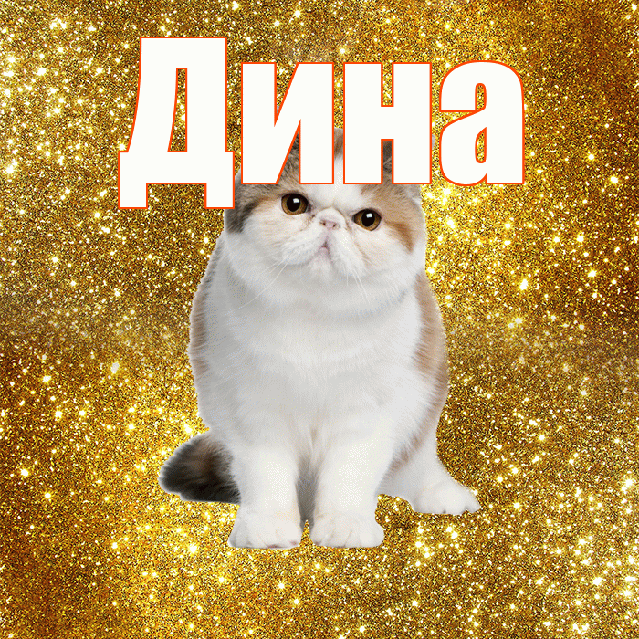 Дина! С добрым утром! Красивая открытка Дине!