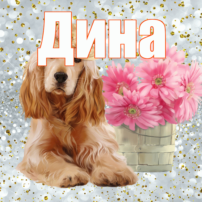 Дина! С добрым утром! Красивая открытка Дине!