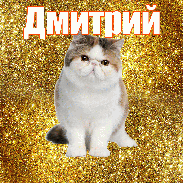 Дмитрий! С добрым утром! Красивая открытка Дмитрию!