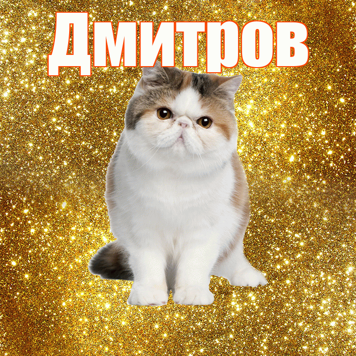 Дмитров! С добрым утром! Красивая открытка Дмитрову!