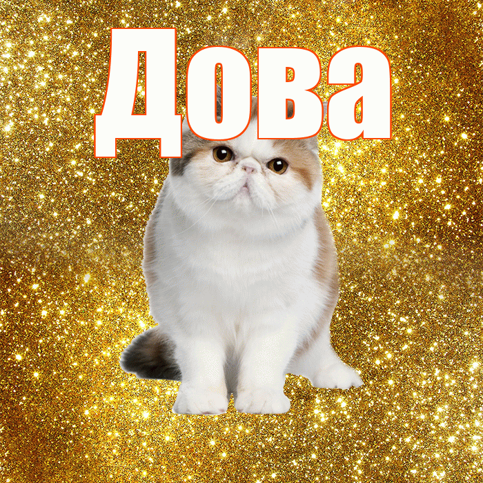 Дова! С добрым утром! Красивая открытка !