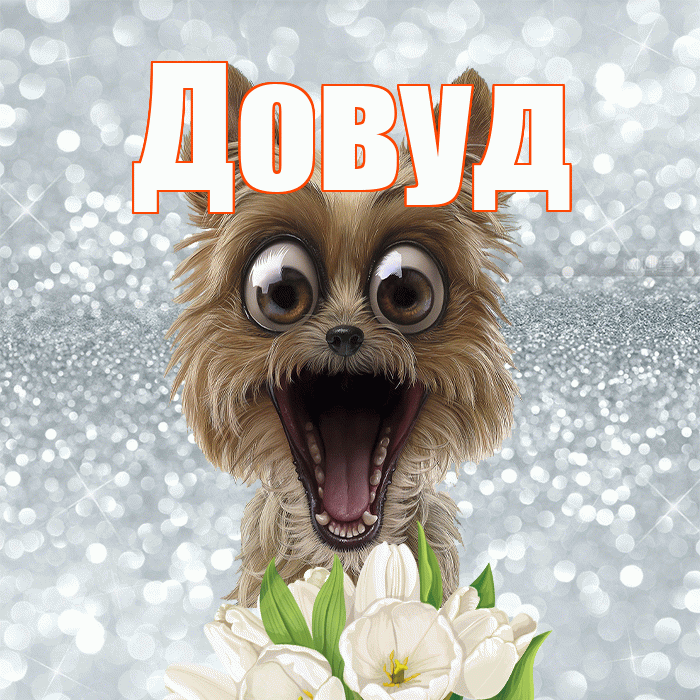 Довуд! С добрым утром! Красивая открытка Довуду!