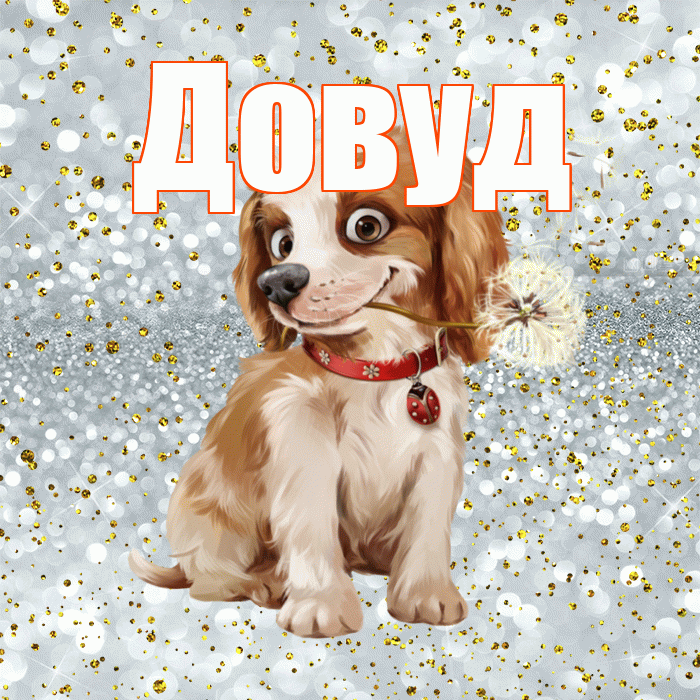 Довуд! С добрым утром! Красивая открытка Довуду!