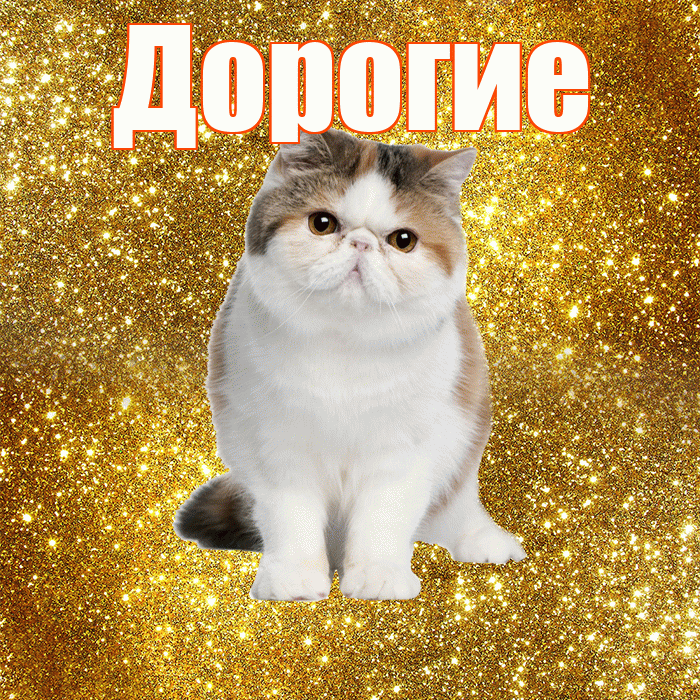Дорогие! С добрым утром! Красивая открытка Дорогим!