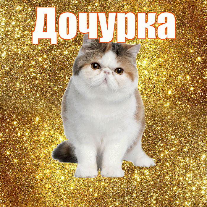 Дочурка! С добрым утром! Красивая открытка Дочурке!