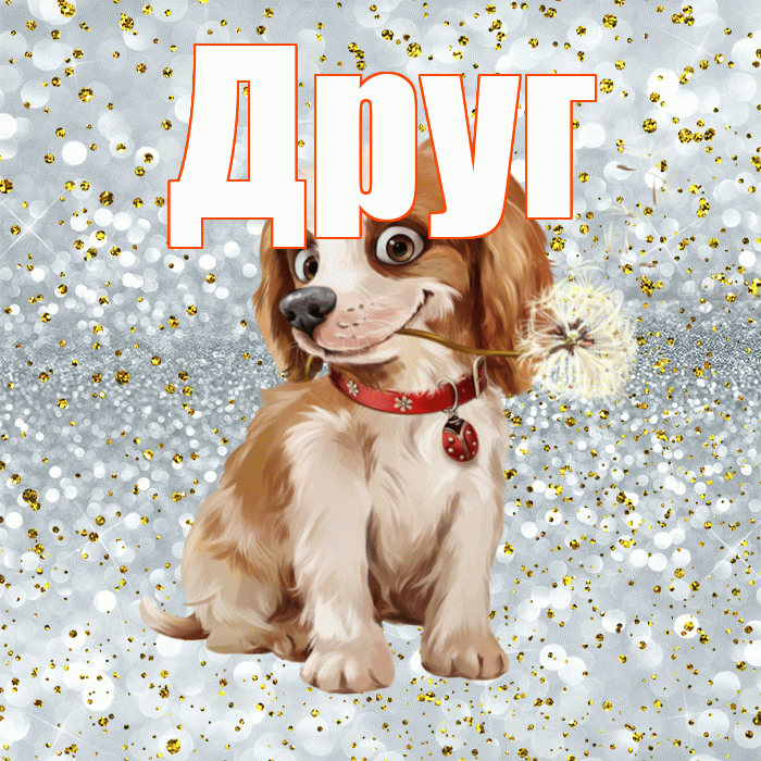Друг! С добрым утром! Красивая открытка Другу!