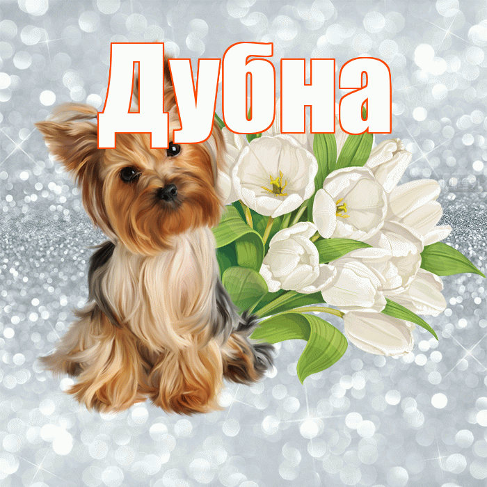 Дубна! С добрым утром! Красивая открытка Дубне!
