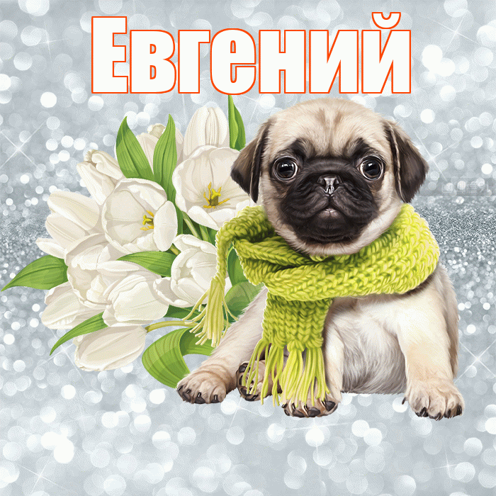 Евгений! С добрым утром! Красивая открытка Евгению!