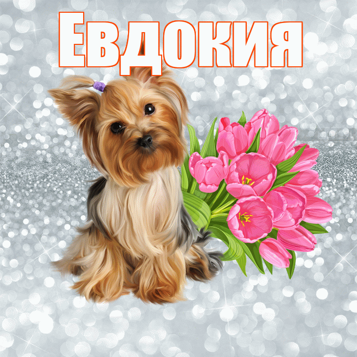 Евдокия! С добрым утром! Красивая открытка Евдокии!