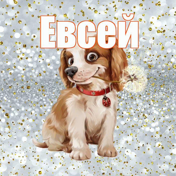Евсей! С добрым утром! Красивая открытка Евсею!