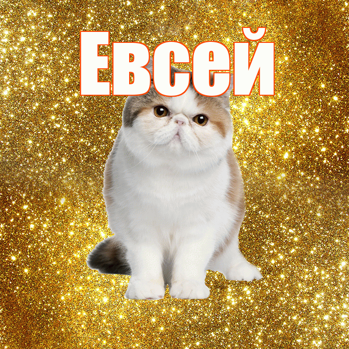 Евсей! С добрым утром! Красивая открытка Евсею!