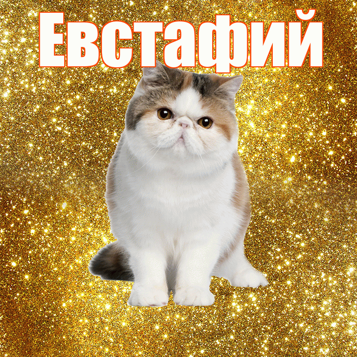 Евстафий! С добрым утром! Красивая открытка Евстафию!