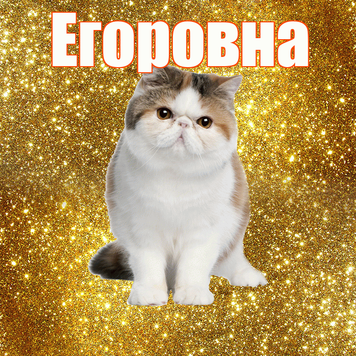 Егоровна! С добрым утром! Красивая открытка Егоровне!