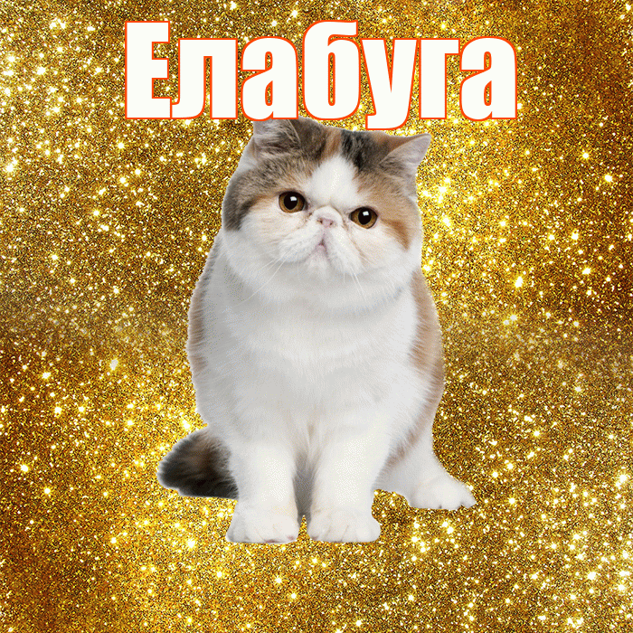Елабуга! С добрым утром! Красивая открытка Елабуге!