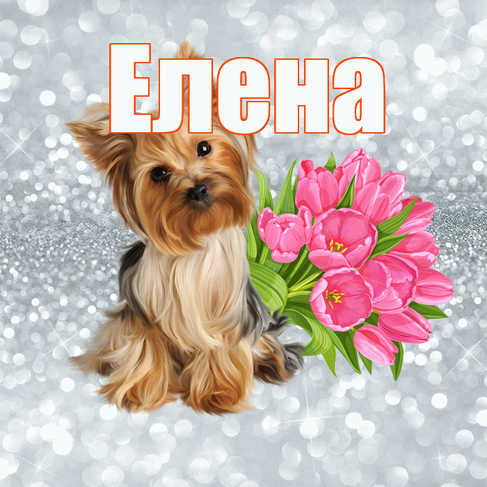 Елена! С добрым утром! Красивая открытка Елене!