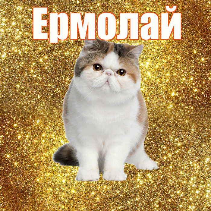 Ермолай! С добрым утром! Красивая открытка Ермолаю!