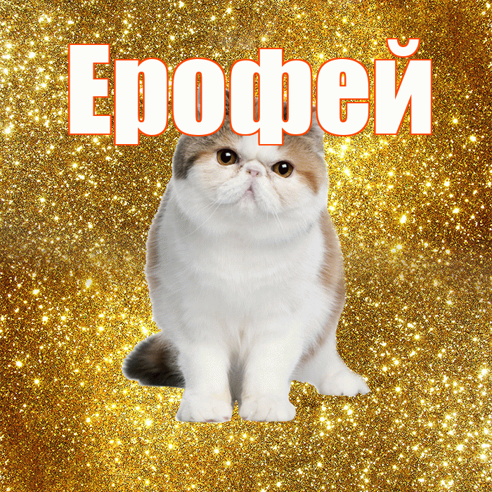 Ерофей! С добрым утром! Красивая открытка Ерофею!