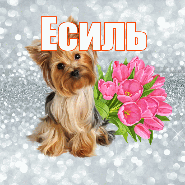 Есиль! С добрым утром! Красивая открытка Есилю!
