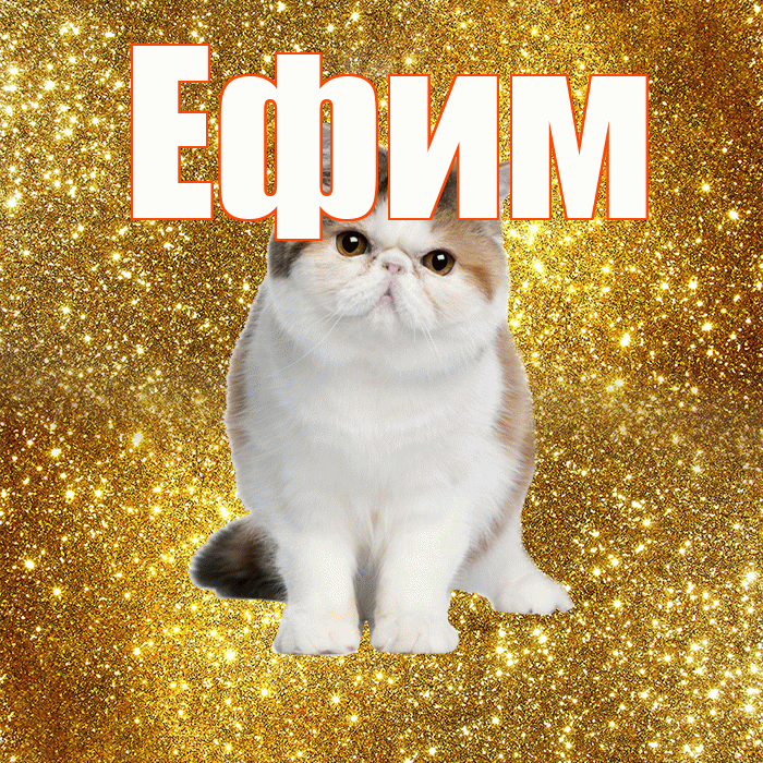 Ефим! С добрым утром! Красивая открытка Ефиму!