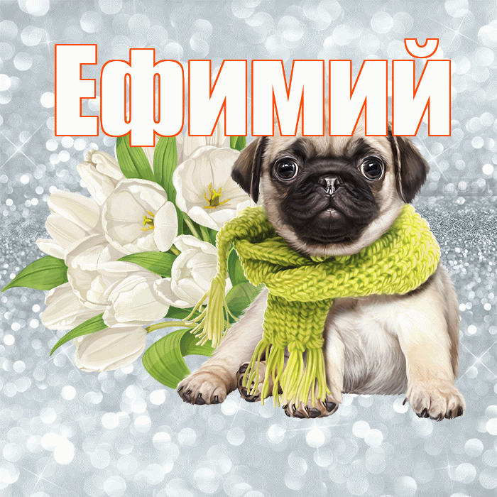 Ефимий! С добрым утром! Красивая открытка Ефимию!