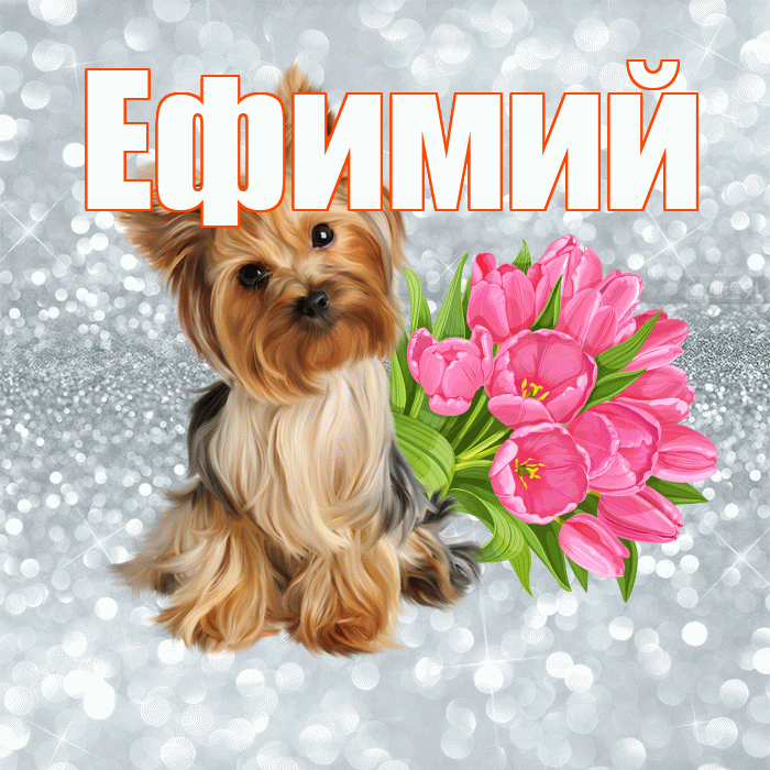 Ефимий! С добрым утром! Красивая открытка Ефимию!