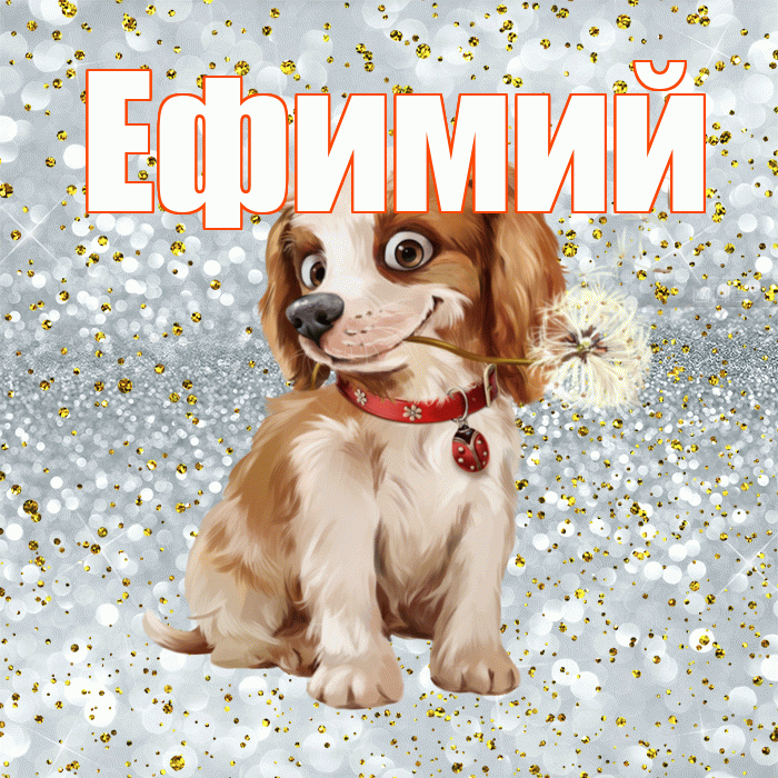 Ефимий! С добрым утром! Красивая открытка Ефимию!