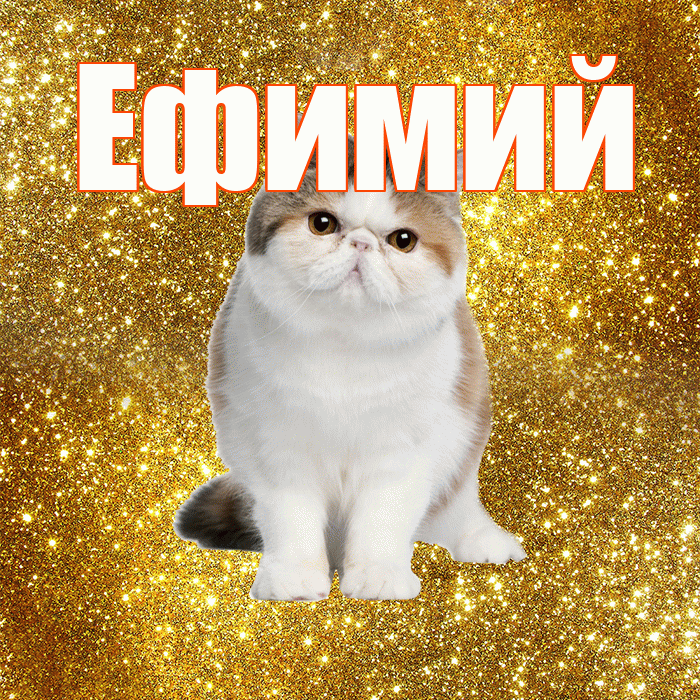 Ефимий! С добрым утром! Красивая открытка Ефимию!