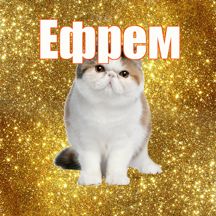 Ефрем! С добрым утром! Красивая открытка Ефрему!