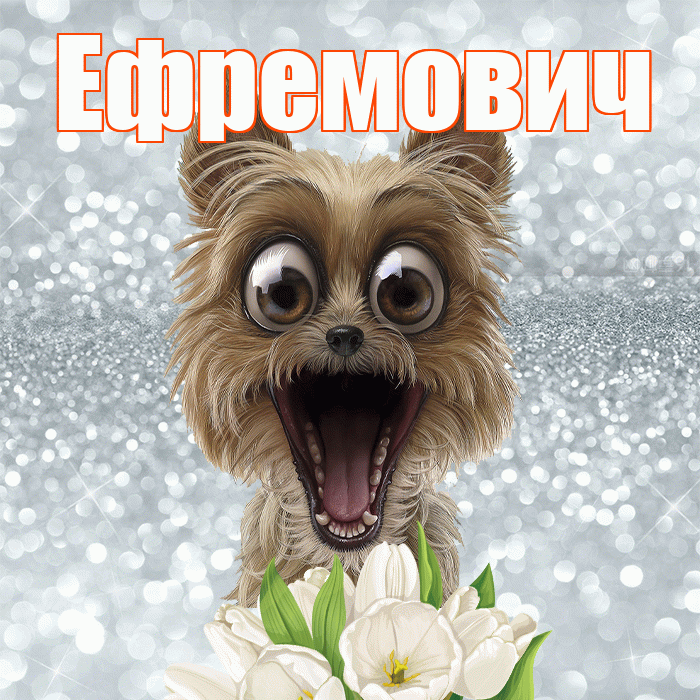 Ефремович! С добрым утром! Красивая открытка Ефремовичу!