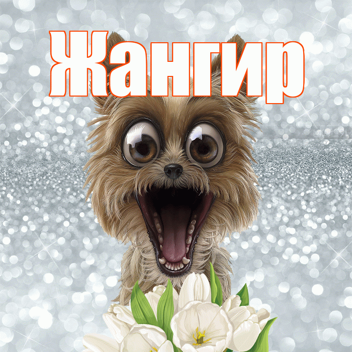 Жангир! С добрым утром! Красивая открытка Жангиру!