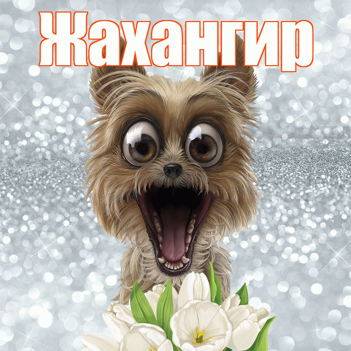 Жахангир! С добрым утром! Красивая открытка Жахангиру!