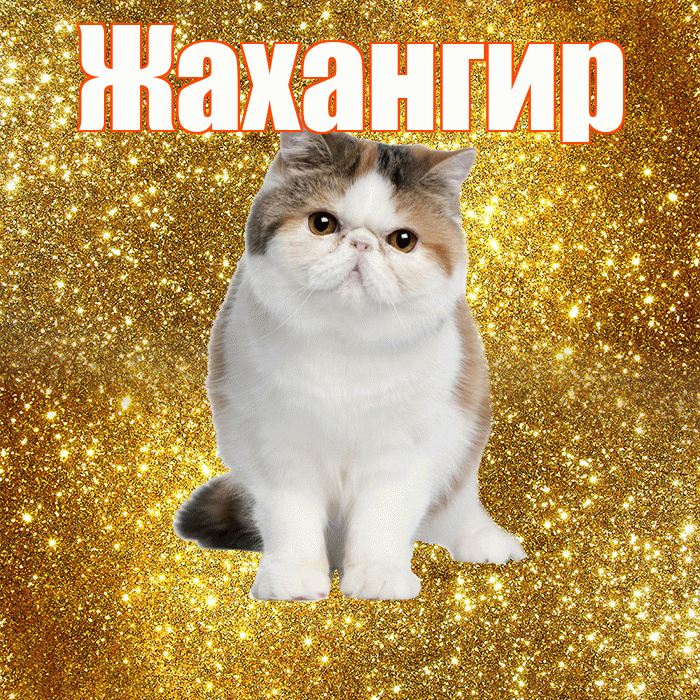 Жахангир! С добрым утром! Красивая открытка Жахангиру!