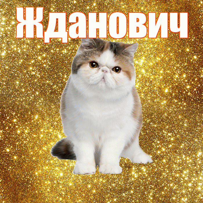 Жданович! С добрым утром! Красивая открытка Ждановичу!