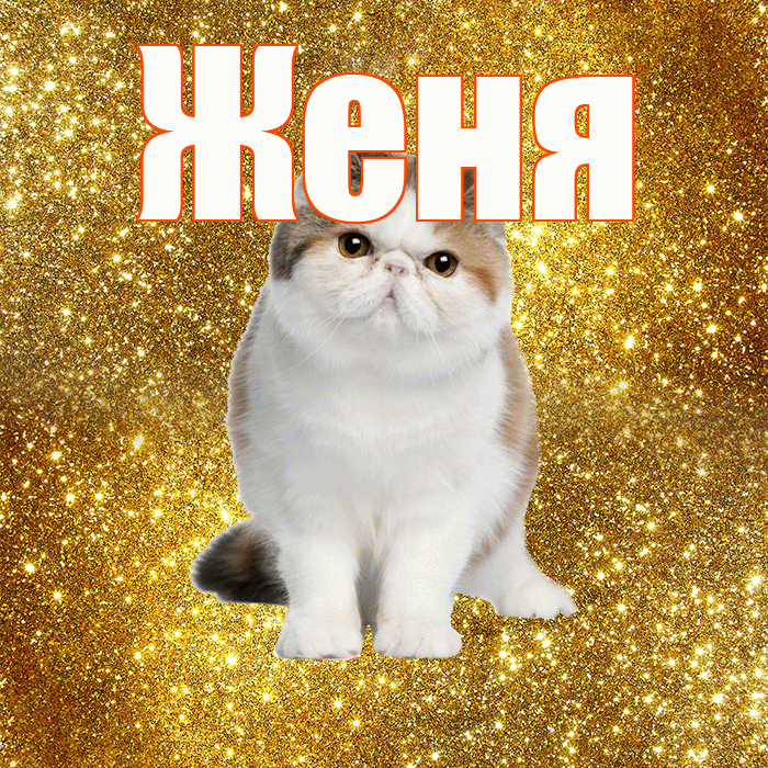 Женя! С добрым утром! Красивая открытка Жене!
