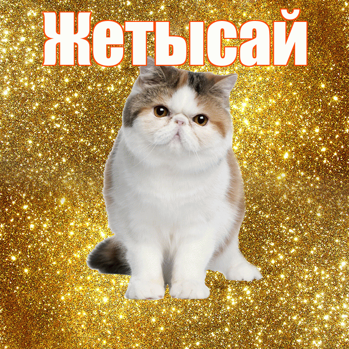 Жетысай! С добрым утром! Красивая открытка Жетысаю!