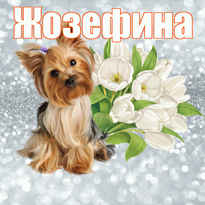 Жозефина! С добрым утром! Красивая открытка Жозефине!