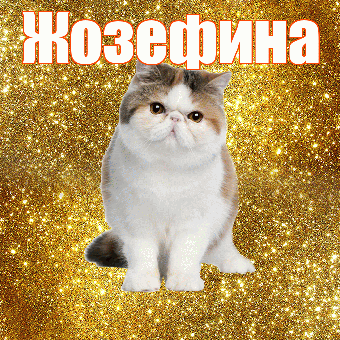 Жозефина! С добрым утром! Красивая открытка Жозефине!