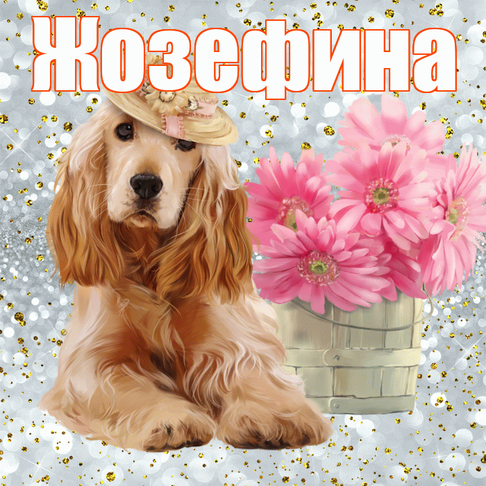Жозефина! С добрым утром! Красивая открытка Жозефине!