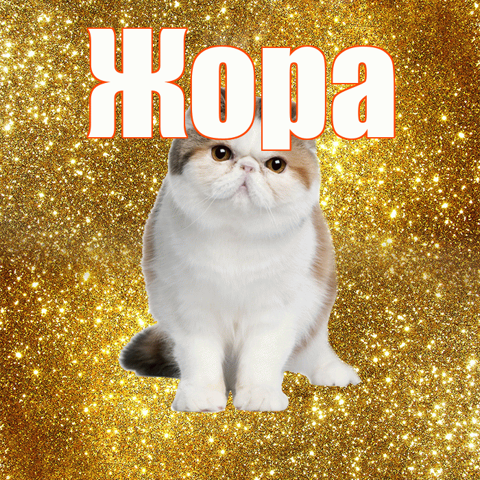 Жора! С добрым утром! Красивая открытка Жору!