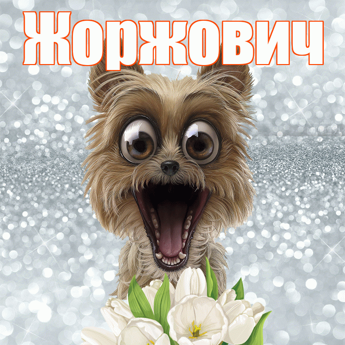 Жоржович! С добрым утром! Красивая открытка Жоржовичу!