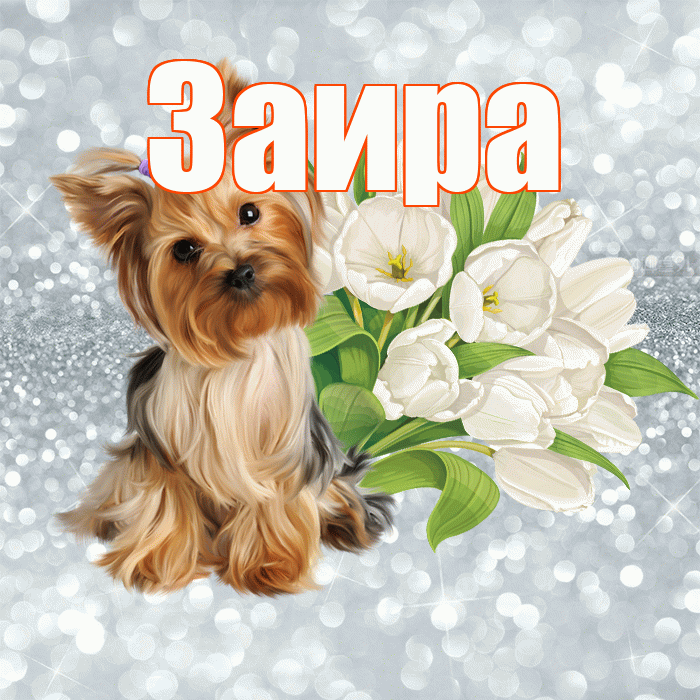 Заира! С добрым утром! Красивая открытка Заире!