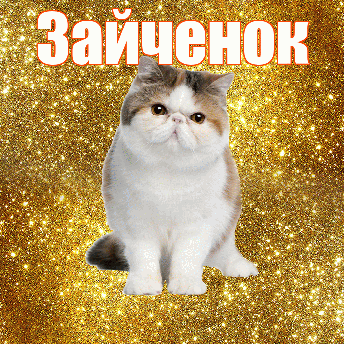 Зайченок! С добрым утром! Красивая открытка Зайченку!