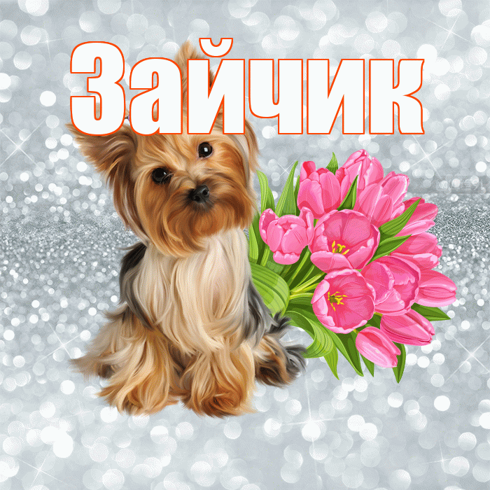 Зайчик! С добрым утром! Красивая открытка Зайчику!