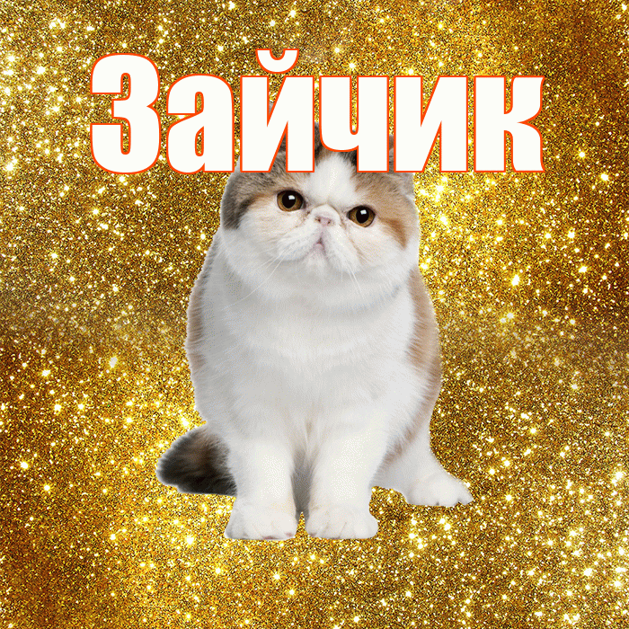 Зайчик! С добрым утром! Красивая открытка Зайчику!