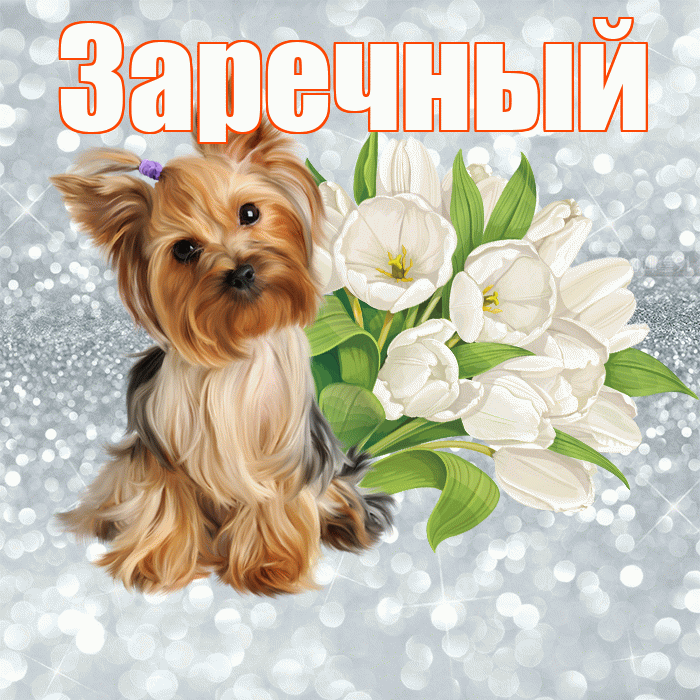 Заречный! С добрым утром! Красивая открытка Заречныю!
