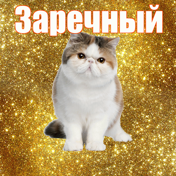 Заречный! С добрым утром! Красивая открытка Заречныю!