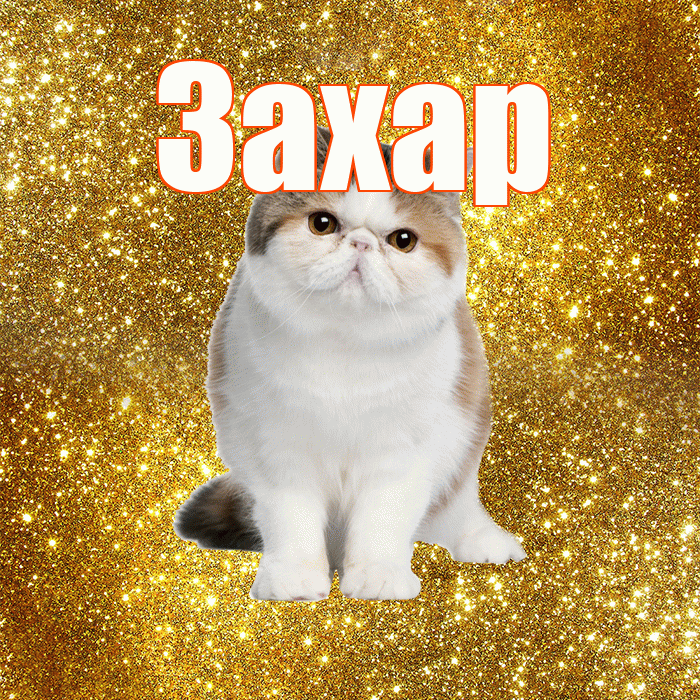 Захар! С добрым утром! Красивая открытка Захару!